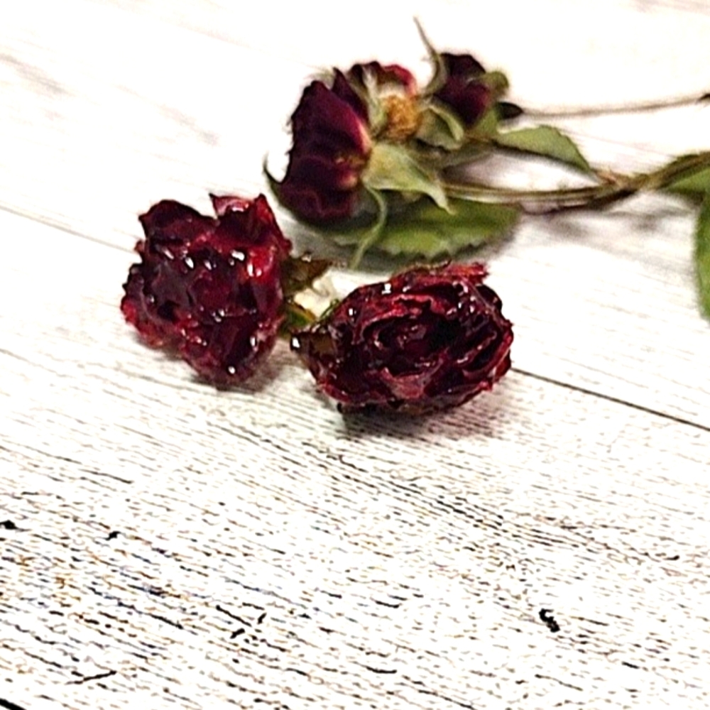 Real Red Rose Stud Earrings
